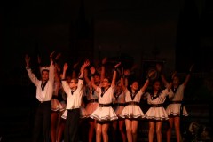 IMG_5841-Large