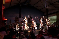 IMG_5924-Large