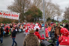 IMG_7070-Large