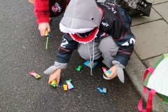 IMG_7080-Large