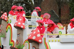 IMG_7241-Large